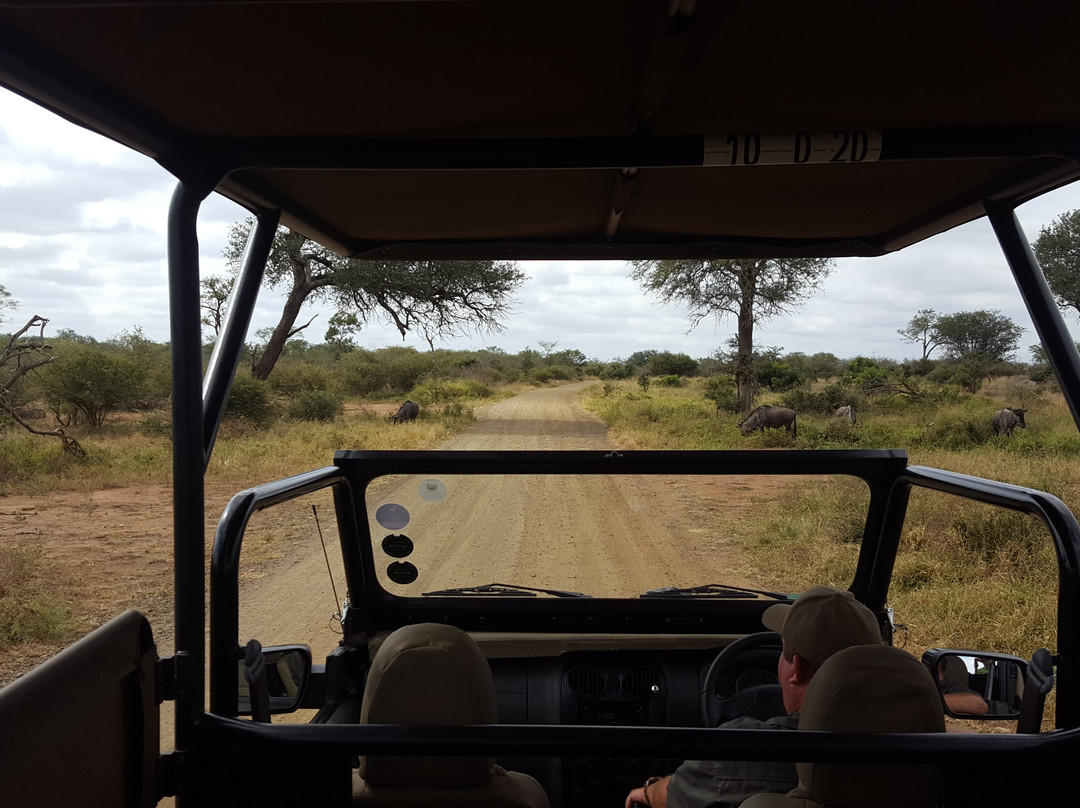 Ama-Zing African Safaris景点图片
