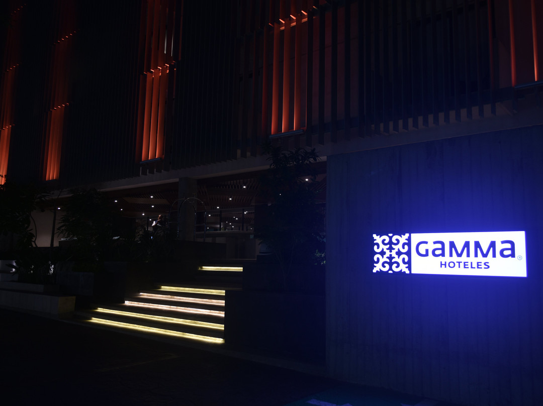 Roof Top Distrito Nader