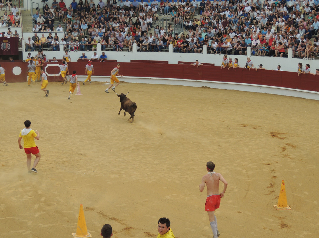 Les Arenes Henri Capdeville景点图片