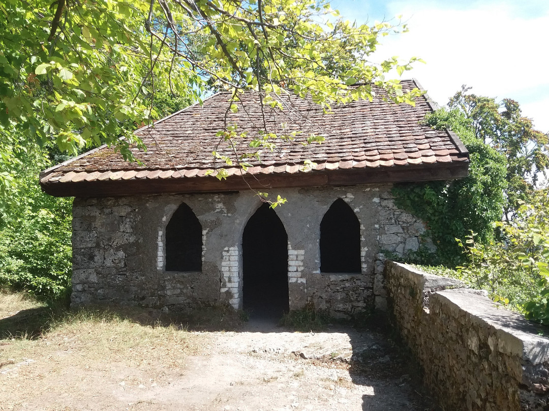 Burgruine Lichtenstein景点图片