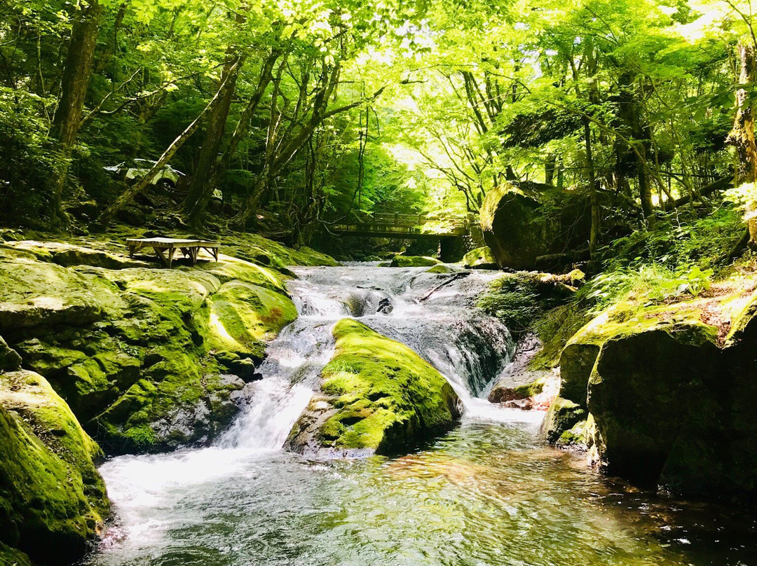Kotarogafuchi-那须盐原市必去景点