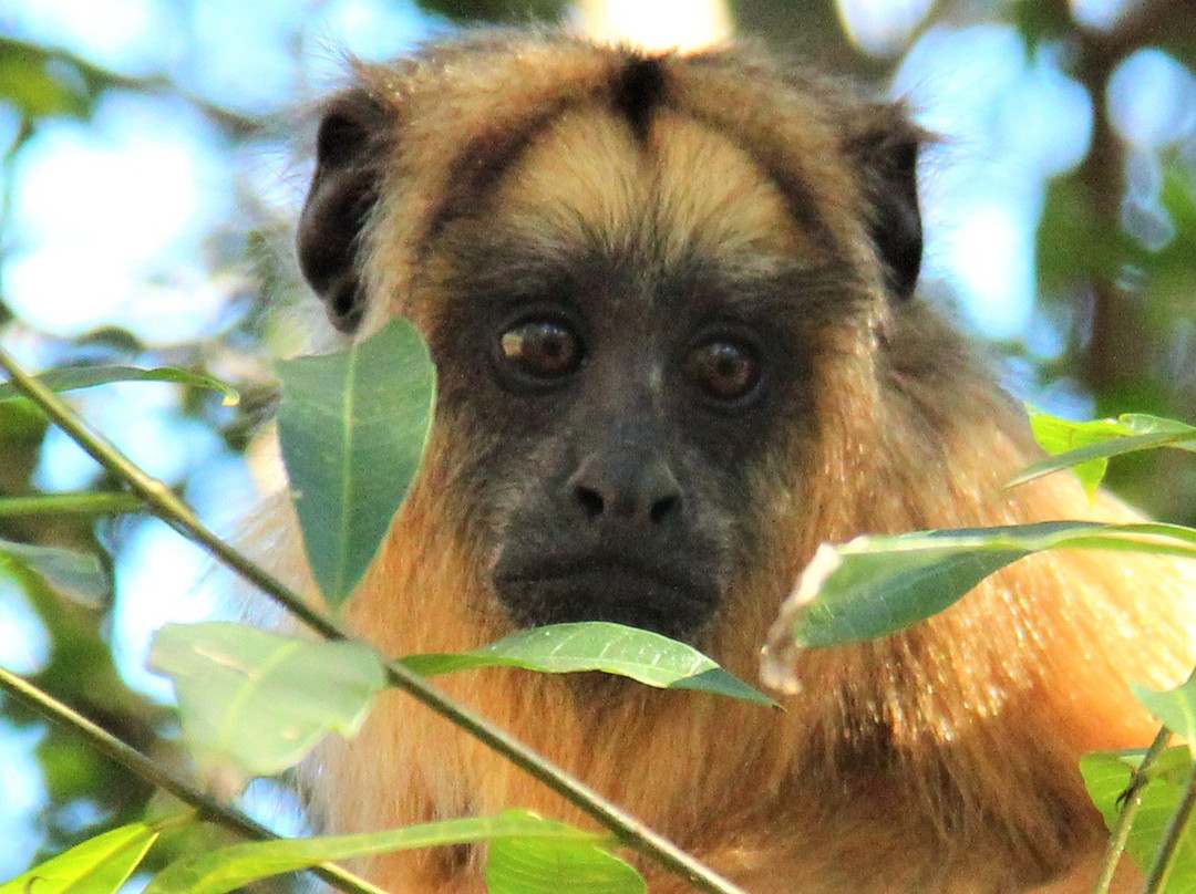 Ecoposada del Estero主图