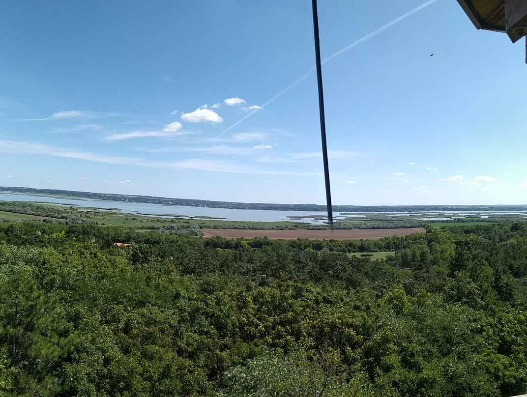 Pakozdi-Sukoro Arboretum and Wildlife Park景点图片