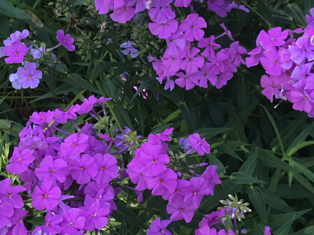 Volo Bog State Natural Area-Ingleside必去景点