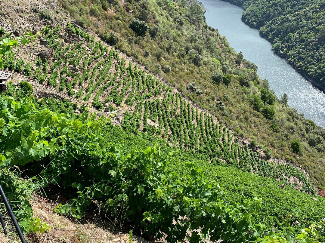 Tren Turistico Aba Sacra-Sober必去景点