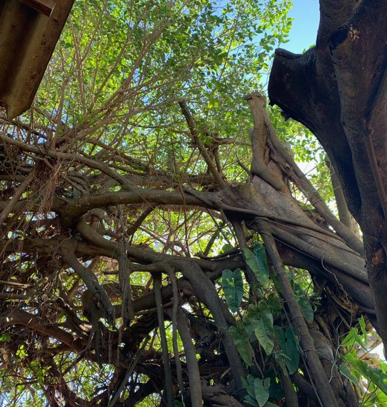 Pousada da Ilha主图