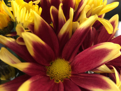 奈汉海滩奈亚布里度假酒店主图