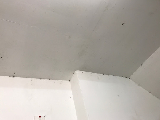 Shielbridge Caravan Park and Campsite主图