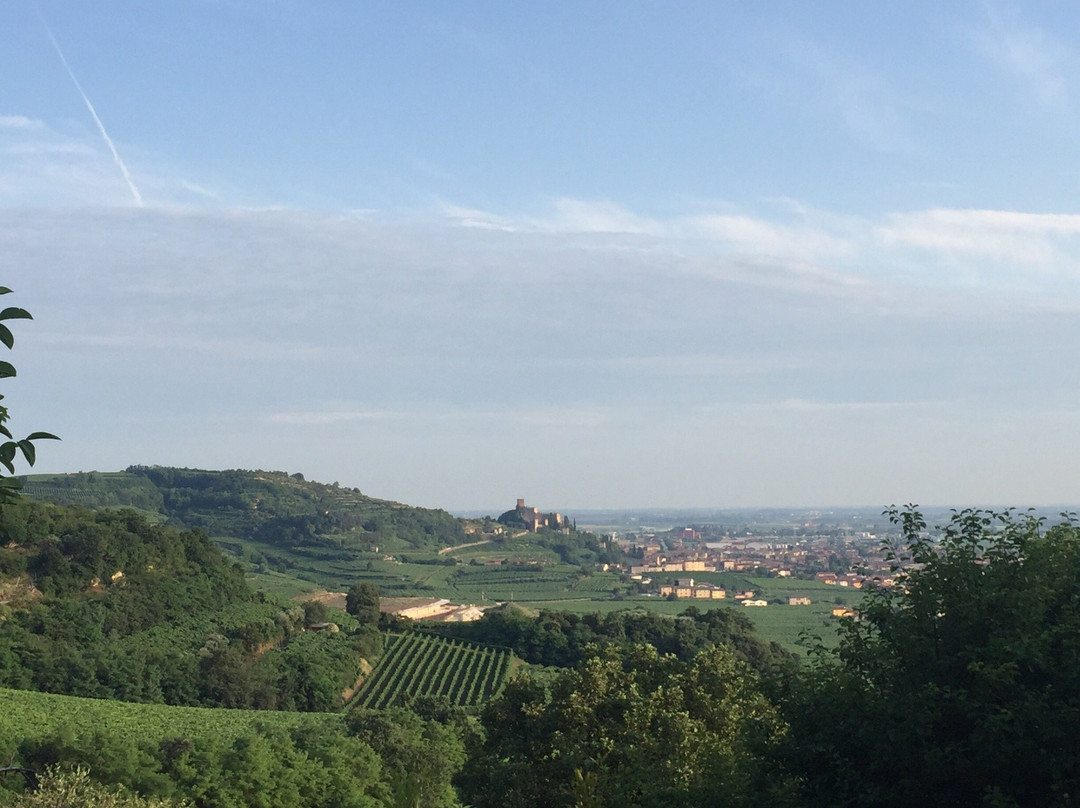 Agriturismo Libero主图