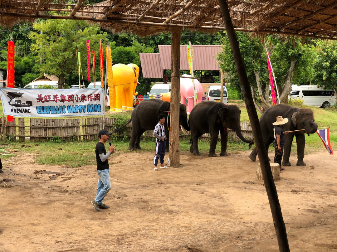 Elephant Keeper Maewang-清迈必去景点