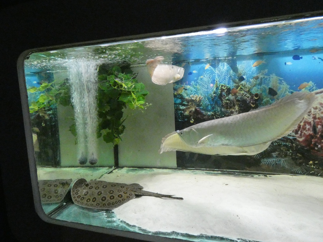 Oceanarium Łeba景点图片