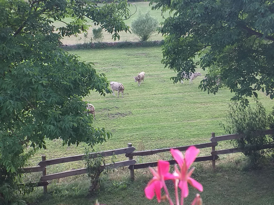 Hotel Vina Olivan主图