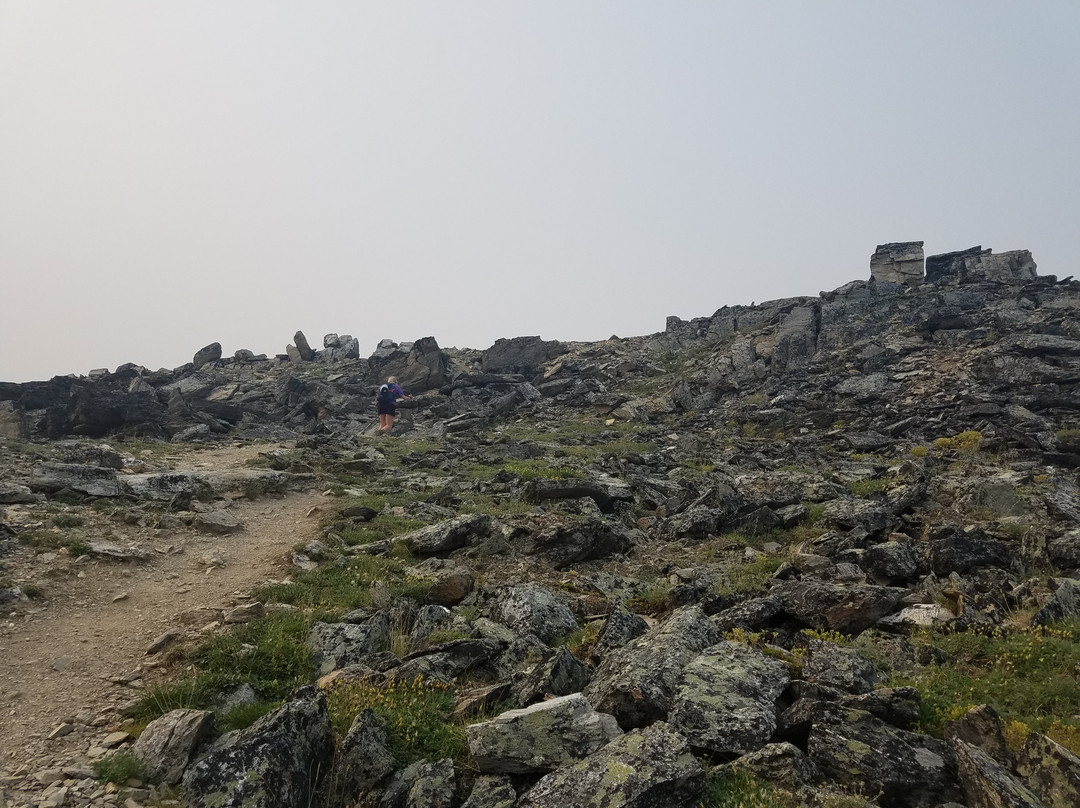 Savage Alpine Trail-德纳利国家公园和自然保护区必去景点