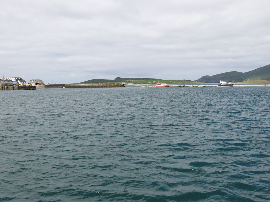 Valentia Island Car Ferry景点图片