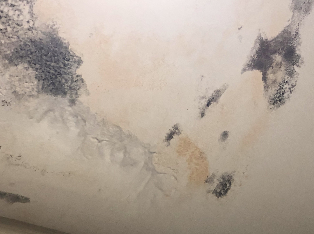 Fairfield Inn & Suites Niagara Falls主图