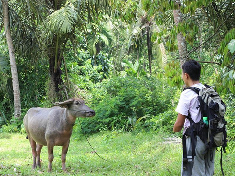 JavaBaliTrips Ijen-巴纽旺宣必去景点