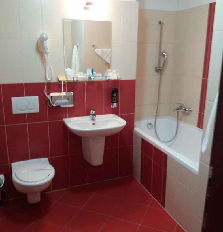 Wellness Hotel Patince主图