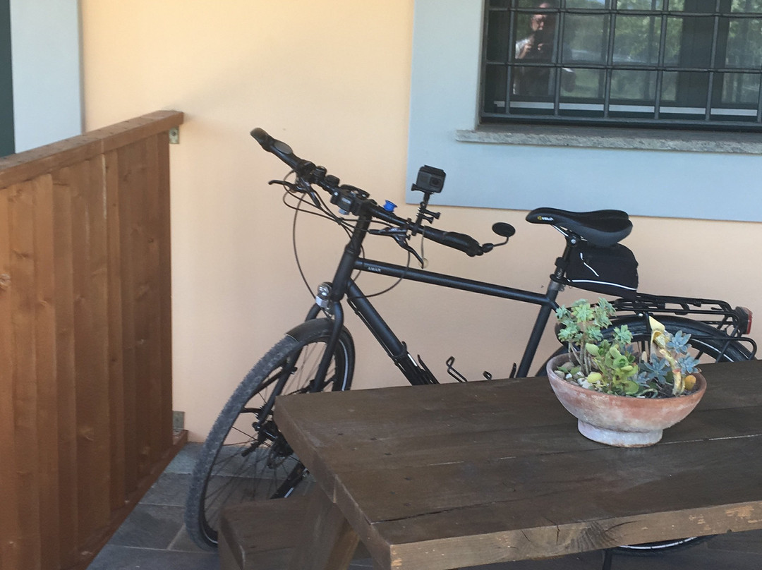 Agriturismo San Matteo主图