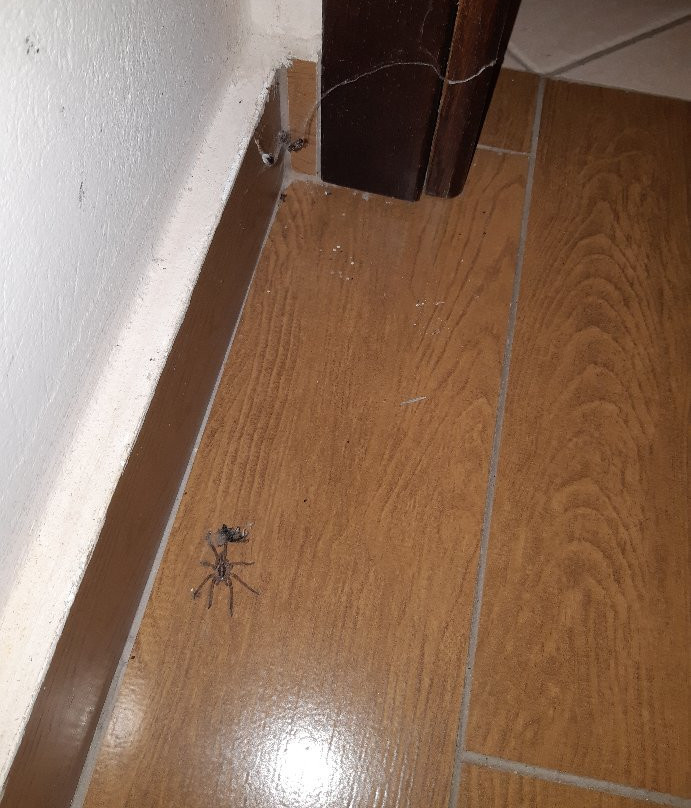 Hotel Mikri Archondissa主图