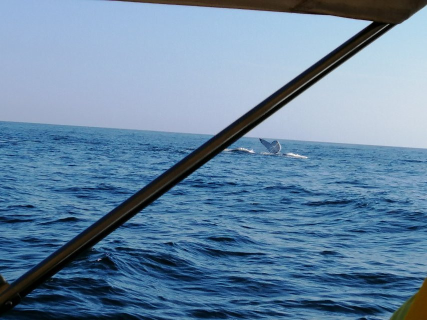 Planeta Marino-Organos必去景点