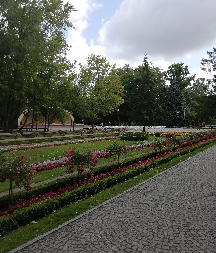 Solankowy Park景点图片