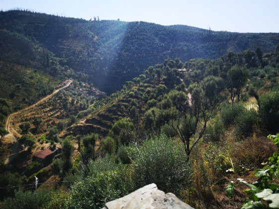 Casa dos Hospitalarios主图