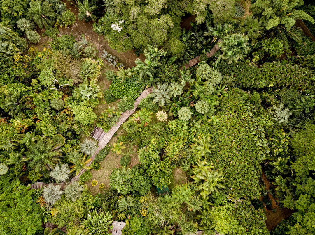 Flora Tropica Gardens-萨武萨武必去景点