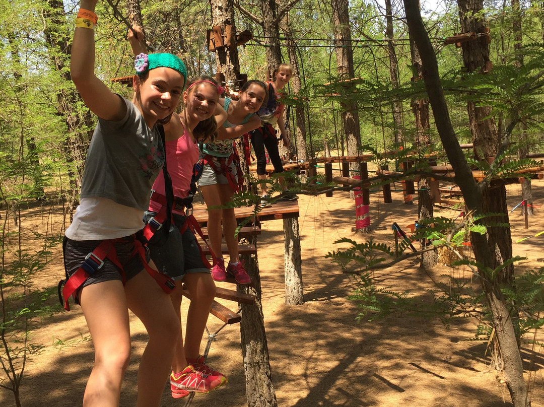 Tree Top Adventures景点图片