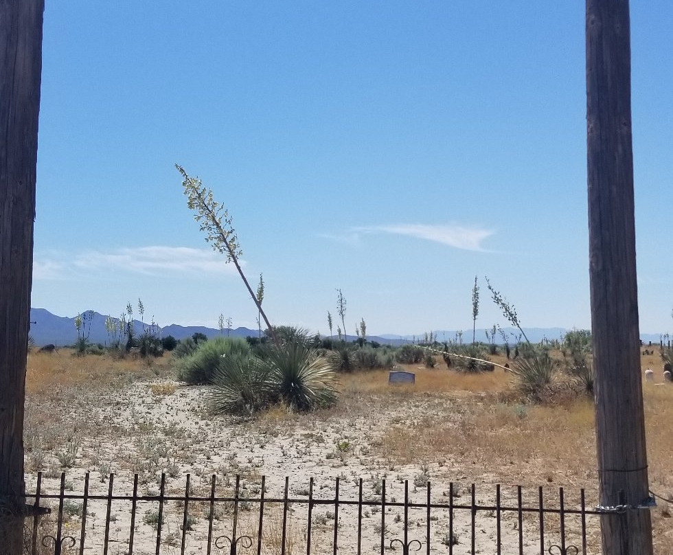 Willcox Pioneer Cemetery-Willcox必去景点