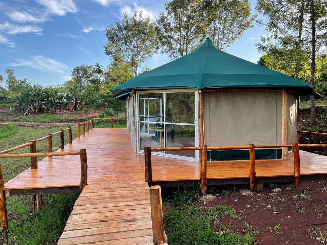 Foresight Eco Lodge & Safari