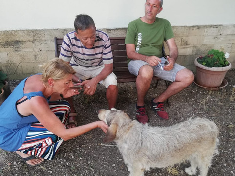 Agriturismo S'Anea主图