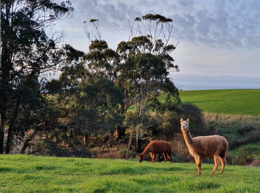 克里纳特温泉别墅主图