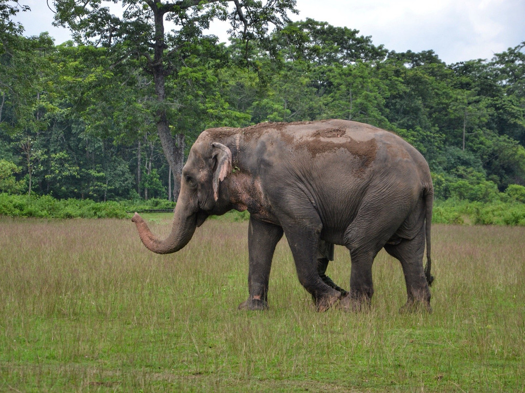 The SU4E Home-苏拉哈必去景点