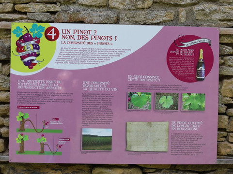 Château Pontus de Tyard-Germagny必去景点