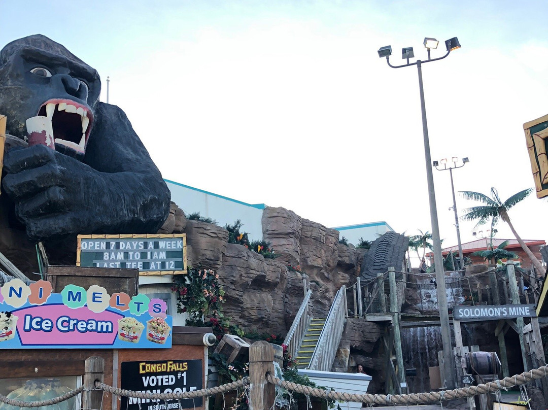 Congo Falls Adventure Golf景点图片