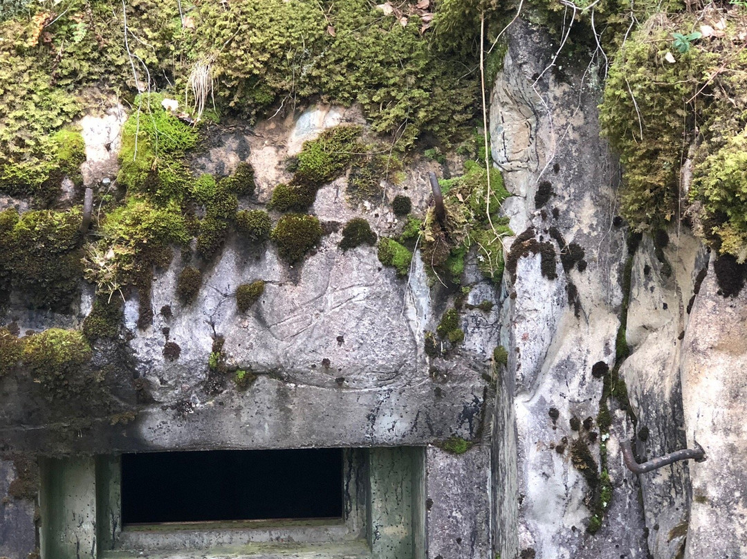 Sjöänd Skans / Fort 118-Arjang必去景点