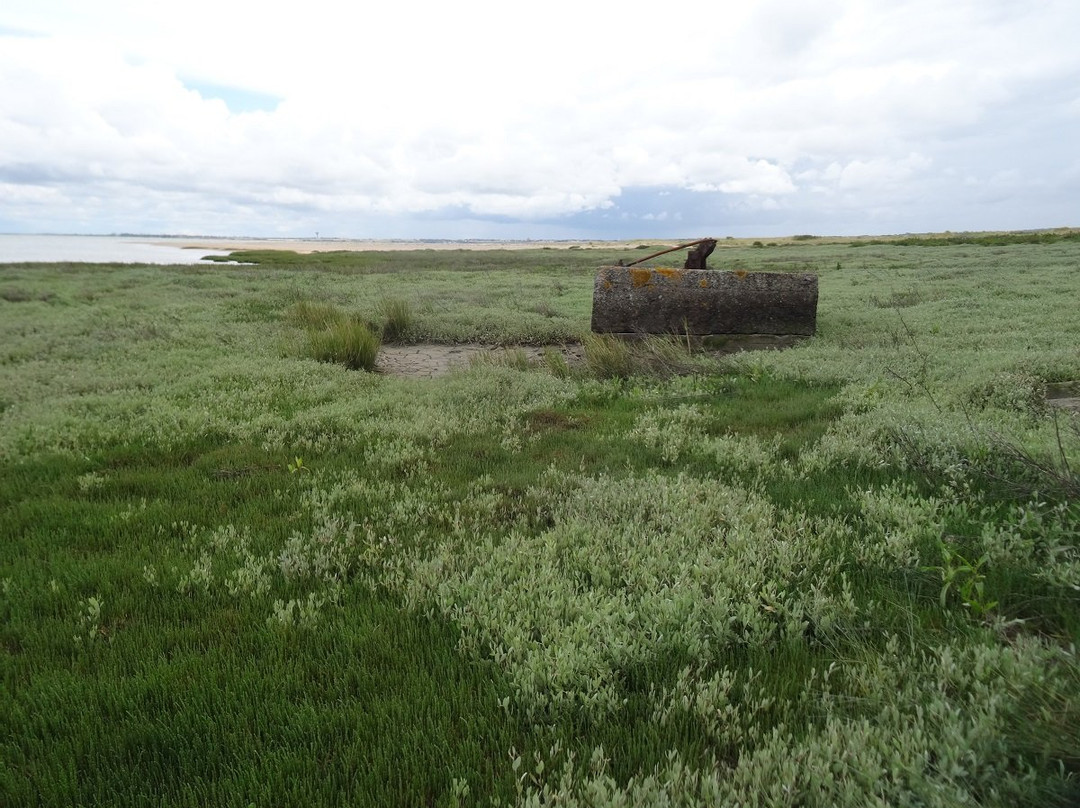 Réserve naturelle nationale de la Baie de l’Aiguillon景点图片