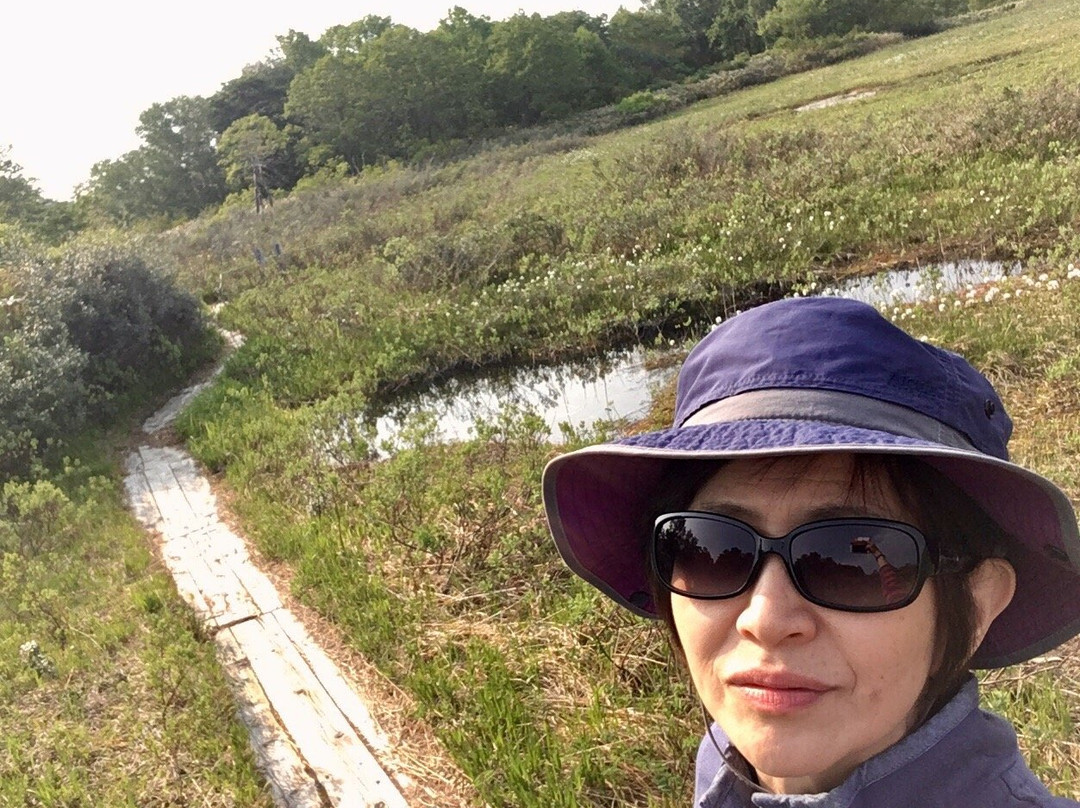 Nugudamarinosato Hiyu Hakkodaonsen主图