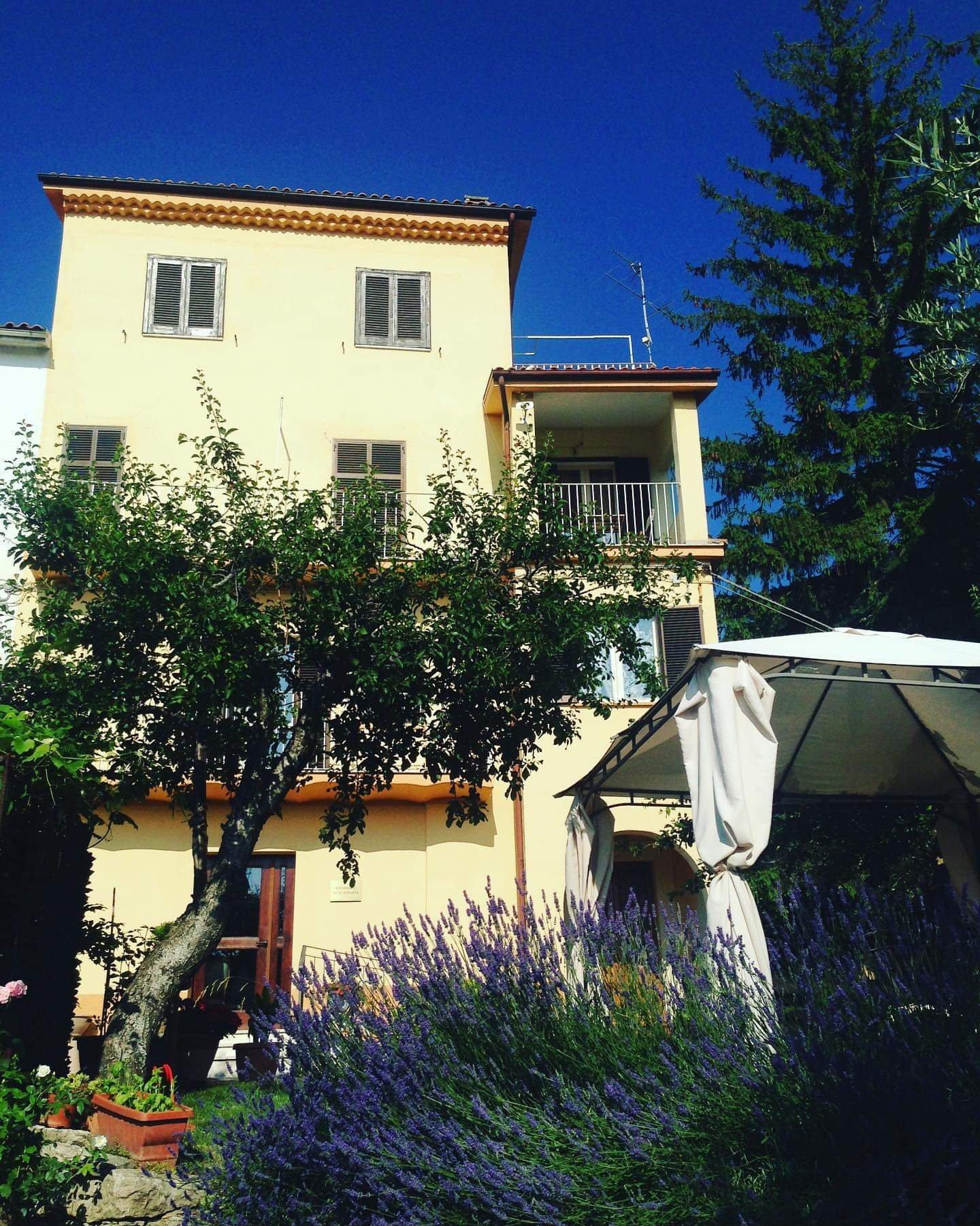 Villa Augusta B&B-官方
