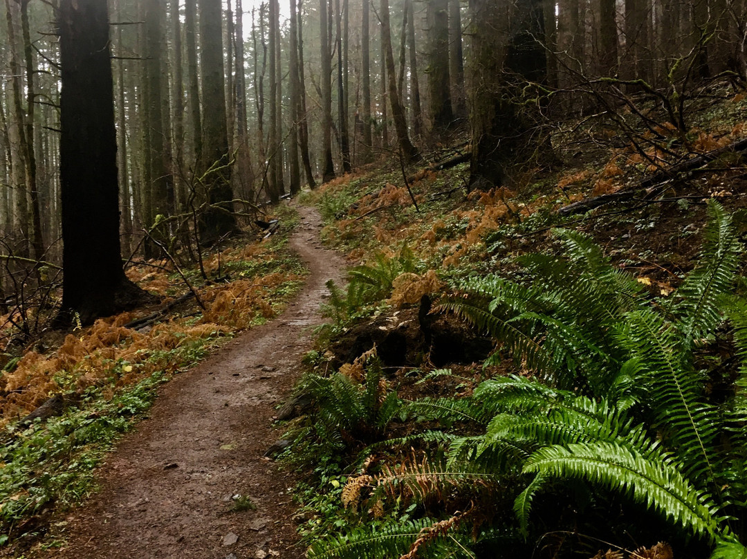 Dry Creek Falls Hike-Cascade Locks必去景点