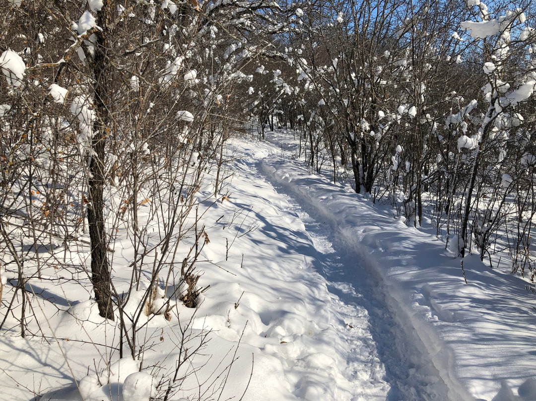 Lake Minnewasta-Morden必去景点