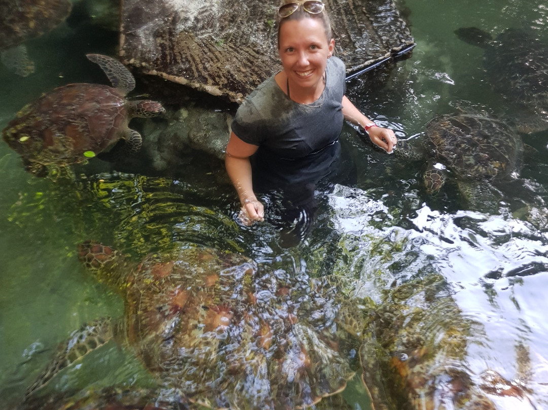 Mnarani Marine Turtles Conservation Pond-孥归必去景点