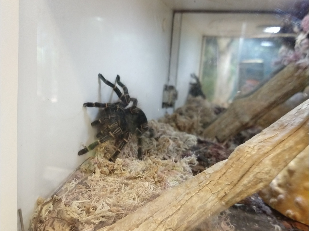 CEVAP unesp-Botucatu必去景点