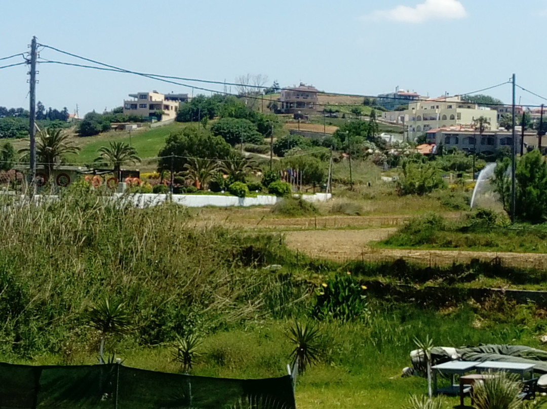 Hotel Mari Beach主图