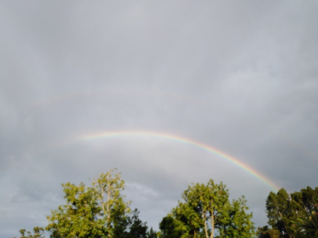 Rahangala酒店住宿-Diyathala Regency