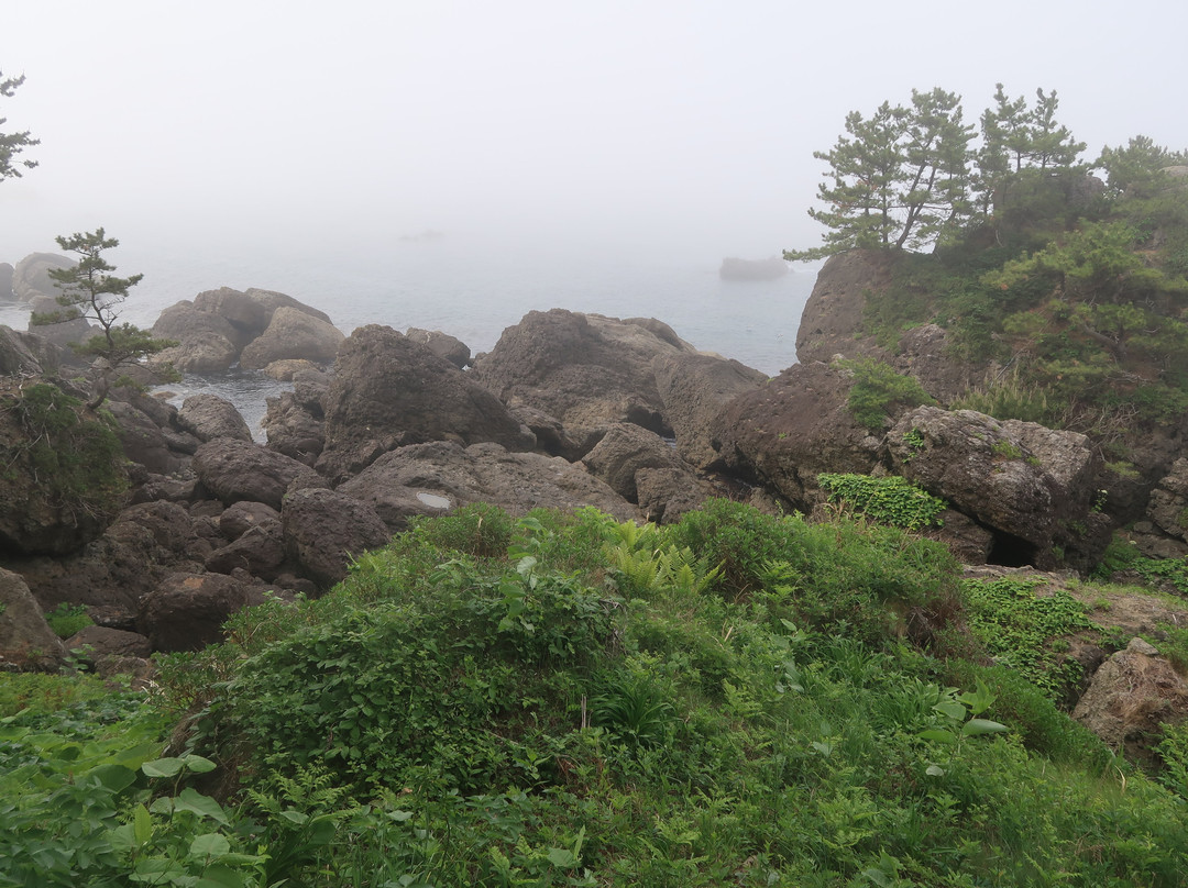 Yodo Pine Grove-八户市必去景点