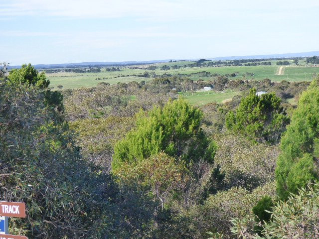 Meningie Lookout-Meningie必去景点