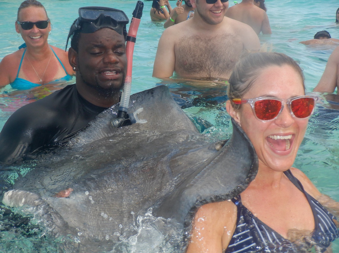 MarineLand Tours-乔治城必去景点