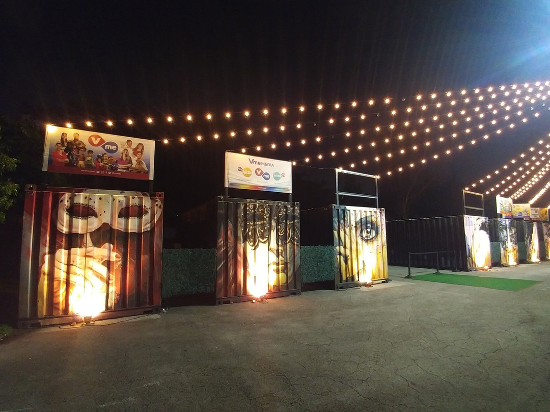Paseo Wynwood景点图片