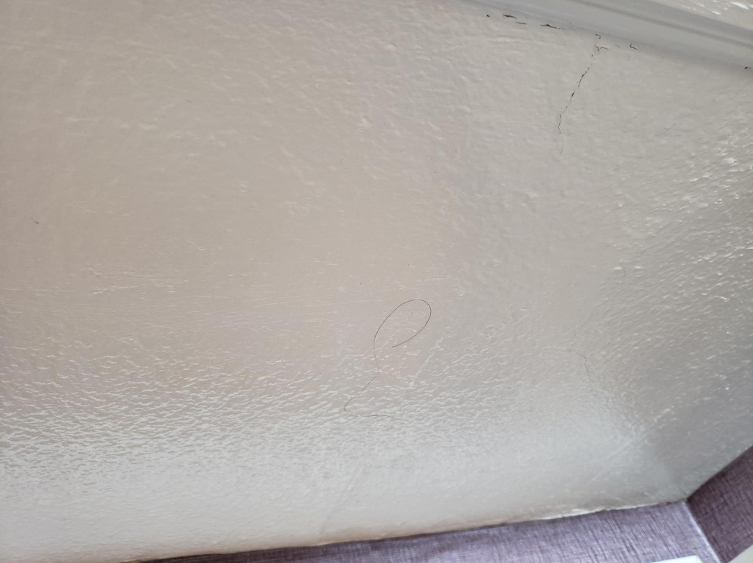 City Express by Marriott Santa Ana/Orange County Airport主图